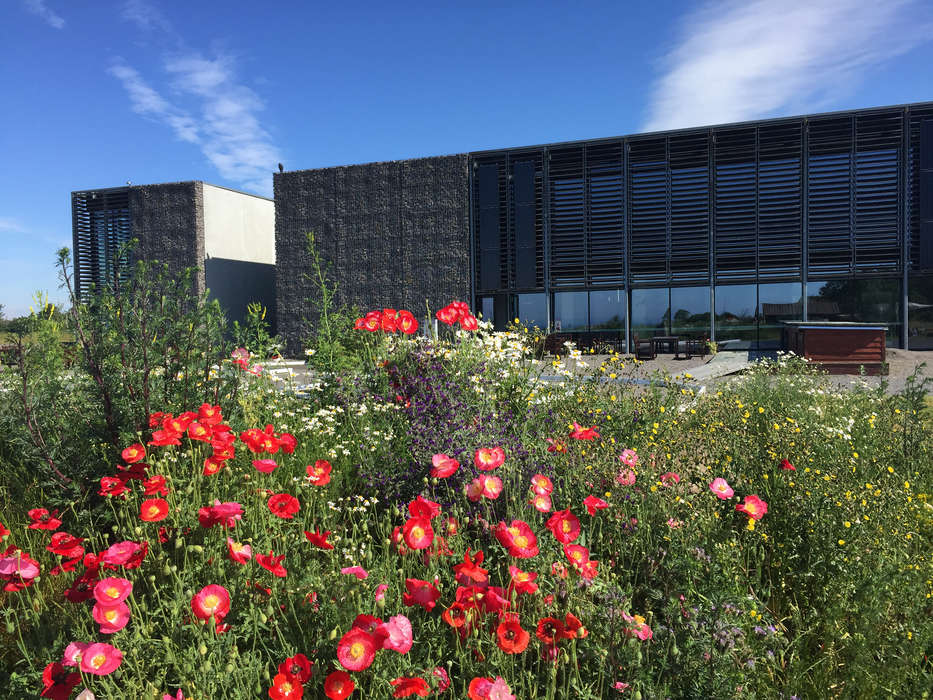 NaturBornholm er vild med vilje