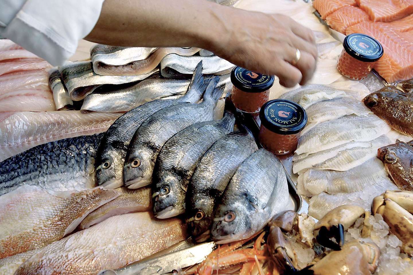 Bornholms Fiskehandel klar p ny sson