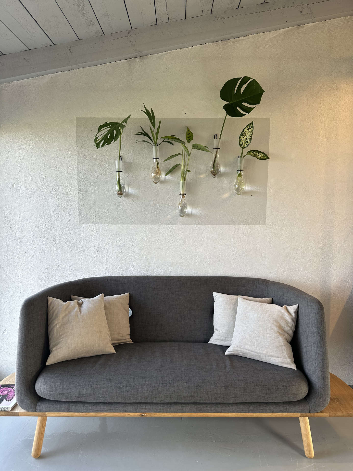 Ny vase - hng blomsterne op p vggen!