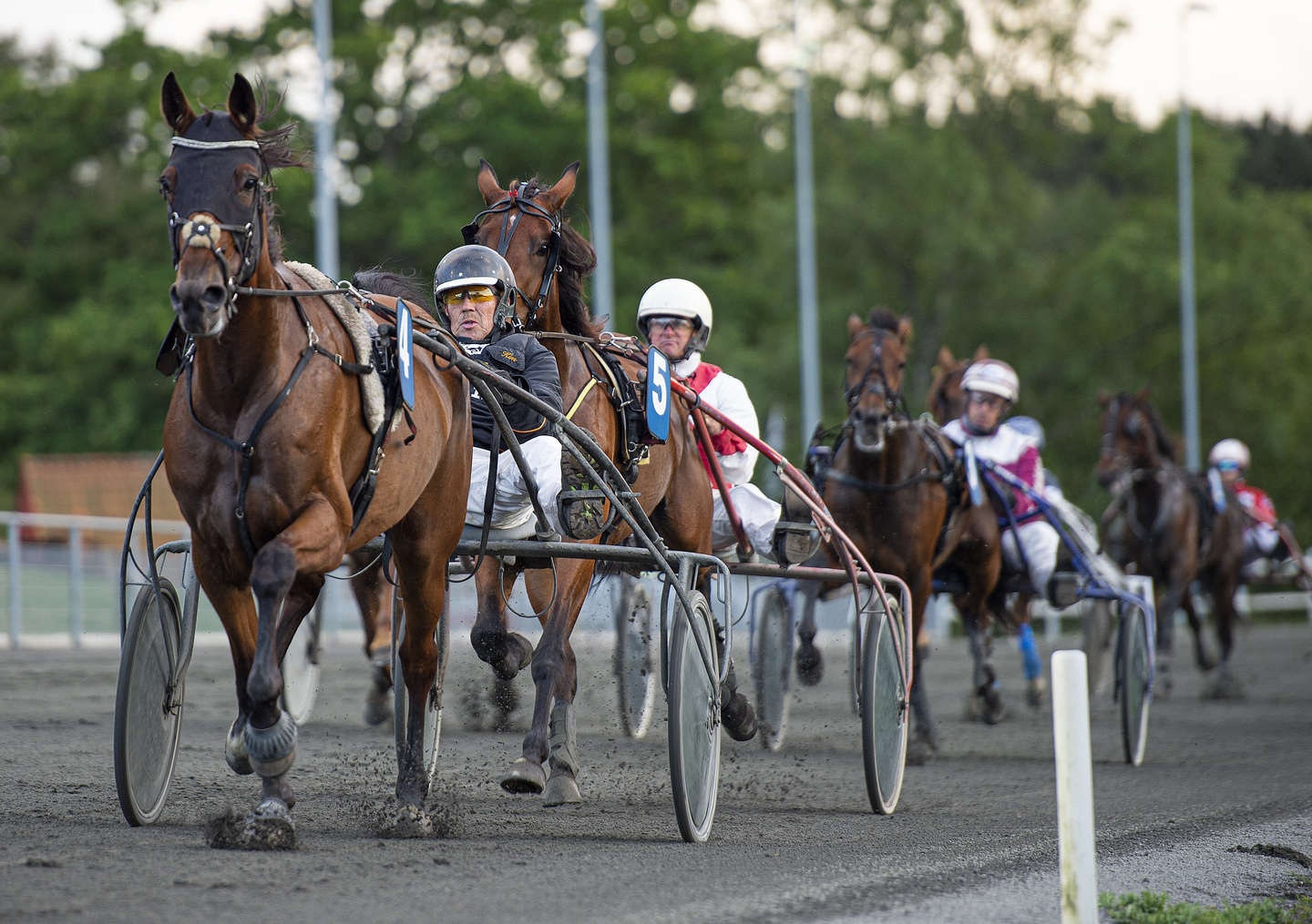 Travbanen inviterer til fdselsdagslb