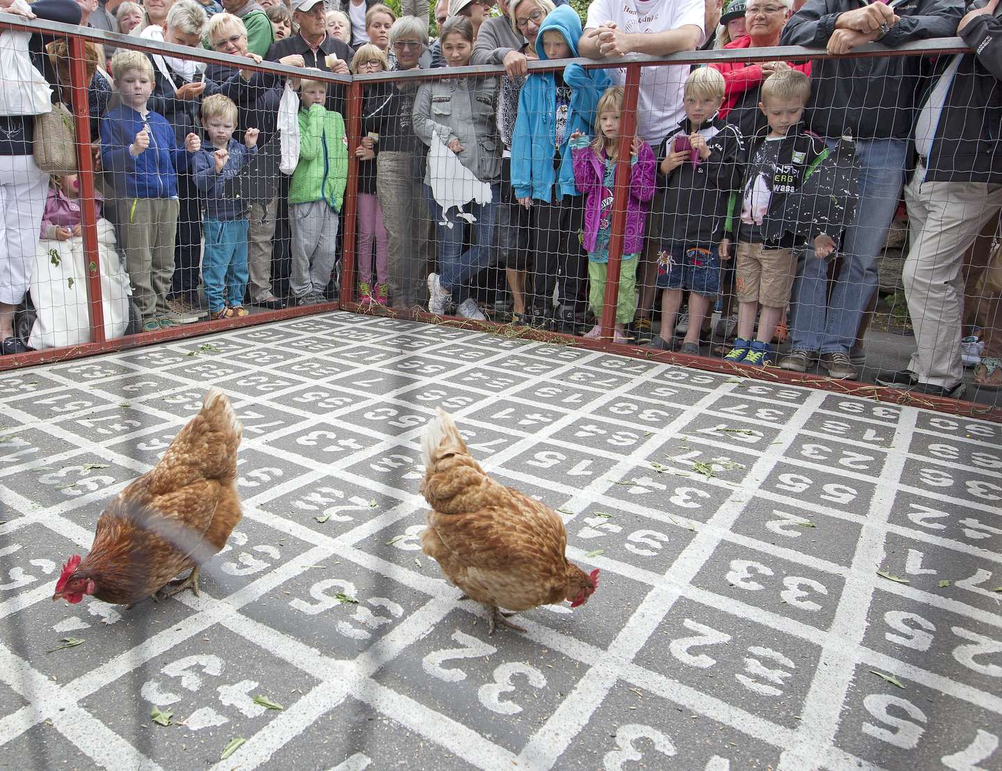 Hnselotto og stor spnding