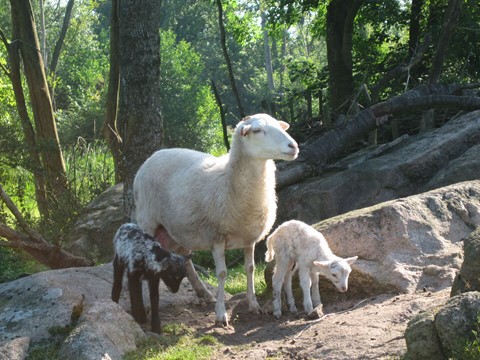 P� tidsrejse i p�sken med hele familien 