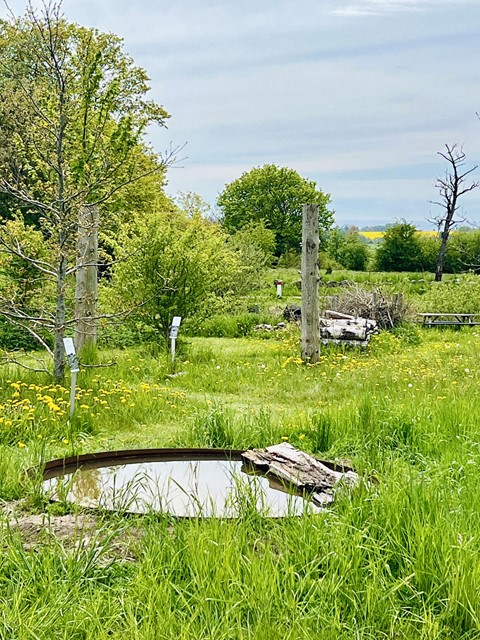 Vild med vilje NaturBornholm