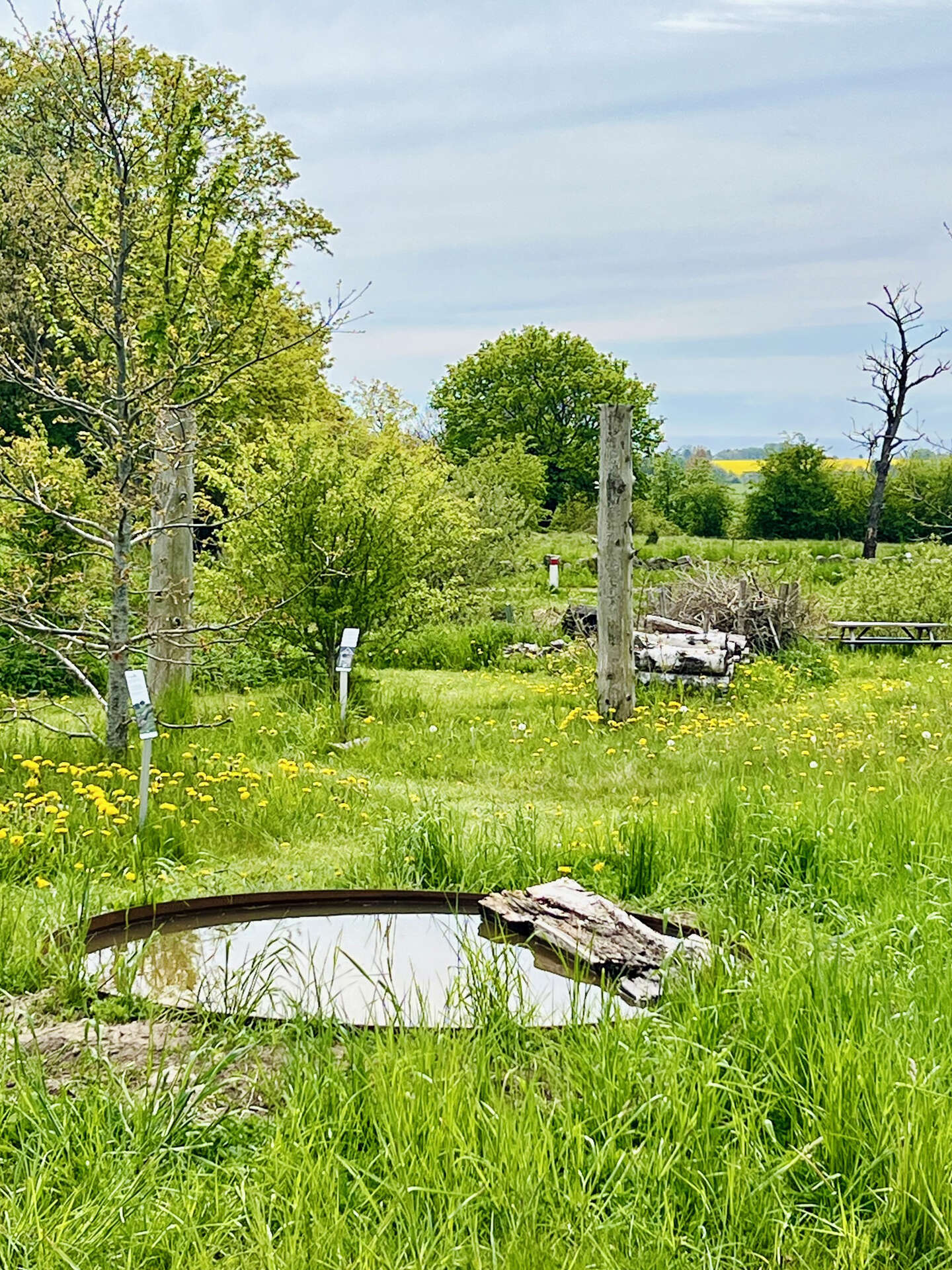 Vild med vilje NaturBornholm