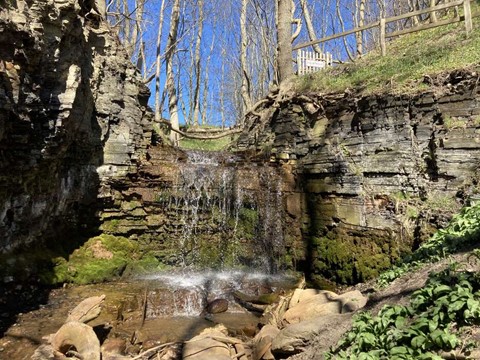 Stor fossil-festival i Bornholms natur